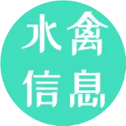 2024年3月1日鹅价快报