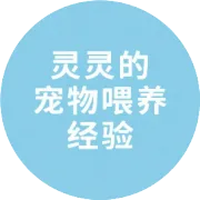 夏天遛狗还做这3件事？路人嘴上不说心里骂