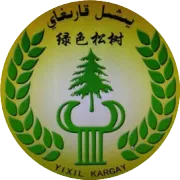 بىرىكمە ئوغۇت