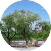 晋城重磅发布！2026年12件民生实事