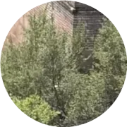 笑看人生的一段话！