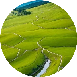 长风引客行