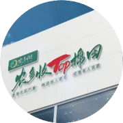 棉花种植 “四化—五工具” 秘籍，轻松实现高产梦！