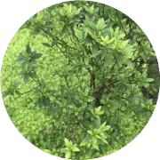 脱发时代，你的头发到底值多少钱？