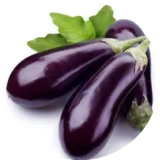 西康、西延、西十、延榆高铁年内开工