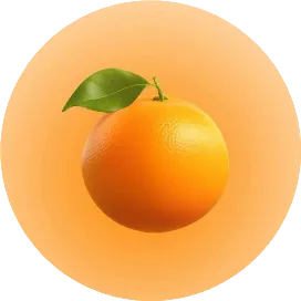 Ozon-橙子电商运营笔记