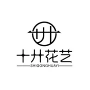 每周识一花：伯利恒之星-天鹅绒，惊艳之花