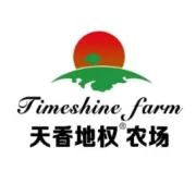 人工智能AI视频生成工具