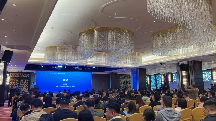 走出“舒适圈”，他们卷到了海外