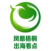 柬埔寨为什么难以断绝网赌？当地华人和你聊聊原因！