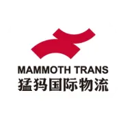 TIR和CMR别再乱选！选对省钱、提速、少麻烦