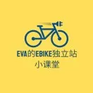 全球主要市场Ebike的用户画像分析