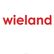 维兰德慕尼黑上海电子展2025邀请函