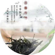 橘红切片及食用方法