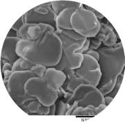氮化硼导热材料的劣势和发展障碍