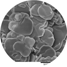 氮化硼导热界面材料