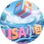 每天一个美国小包专线小知识（Temu）