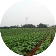 合创简一自控仪使用与维护