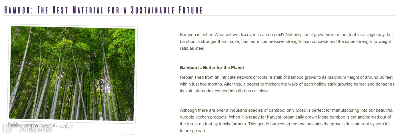 独立站优秀案例分析:如何打造个性化餐具品牌?