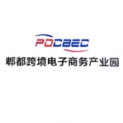 告别亚马逊依赖！今年黑五，中国商家找到出海“新主场”