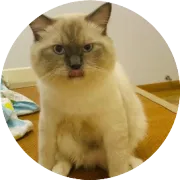 提高AdSense收入的五个建议！！