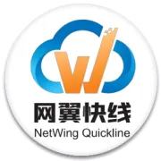 跨国制造业都在用什么组网方案？总部-分支高可靠互联的主流模式全解析