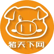 APP报价－26日 广东猪行情