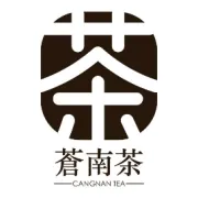 共富茶园|采茶体验，感受传统之美