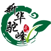 这个春天，别错过这杯来自寨基山的明前绿