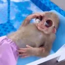 20250228本周新游:地下城+打桶+Slg也能组一起？挖矿靶心like，写实版《Whiteout Survival》