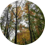 亚马逊小卖家搞产品创新？先选对市场再发力！