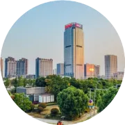 深学细悟 接续奋进——红豆外贸深入学习党的二十届四中全会精神