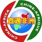 【人文交流】“写意精神——中国书法创作世界巡展”走进埃及 “感受中国书法的协调之美”