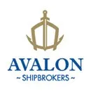 出售2001年日本造TESS 52 散货船