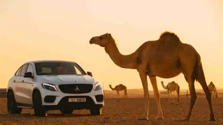 中国新能源车企，加速杀入中东