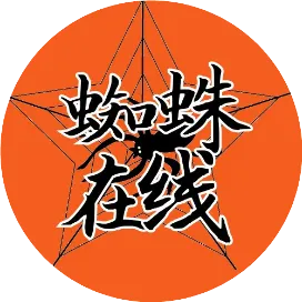 沧州蜘蛛在线科技服务有限公司