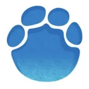 贵州毕节多家临街店铺遭砌墙封堵，官方通报