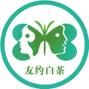 2023年雪后老树头采白毫银针礼盒装（高端茶礼・建议收藏）