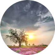 老百姓辛苦赚的钱，究竟花哪了？