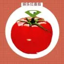 海外球衣为何如此火爆？建议提前备战2026世界杯