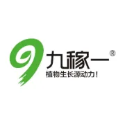 6月大棚黄瓜种植的管理技术要点！