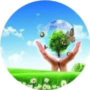 污水处理硝化过程关键：曝气时间的双重影响及动态调控因素