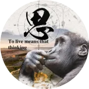 强烈建议微信把朋友圈更名为关系圈或者社交圈