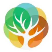 卡车销量暴增，司机为何却越来越难招了？