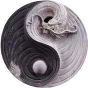 它们是全人类的珍宝!