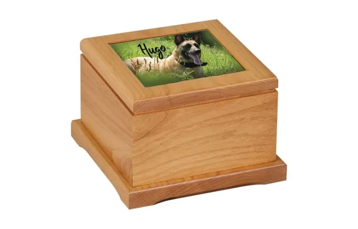 行业解读 | 宠物丧葬，【烧】出一条新赛道