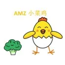 AMZ小菜鸡