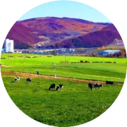 有一种痛，叫开学疼