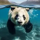 美国加征关税对俄罗斯贸易市场的影响与机遇