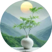 沈阳人刚从丹东回来，毫不客气的说，丹东就是全国边境江城天花板的存在！